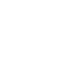 Voice